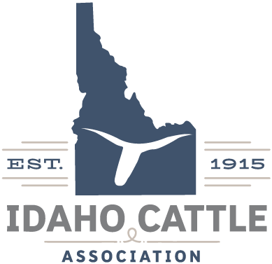 ICA-Logo